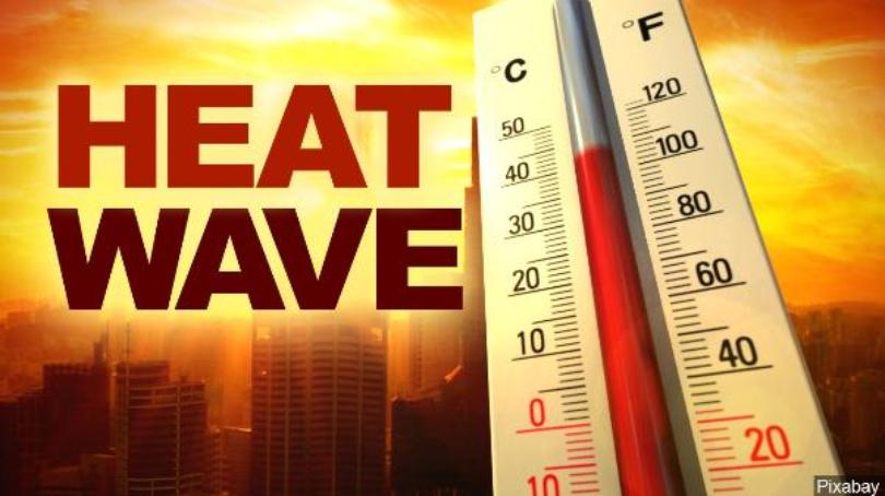 Heat wave: How you can cope during hot weather