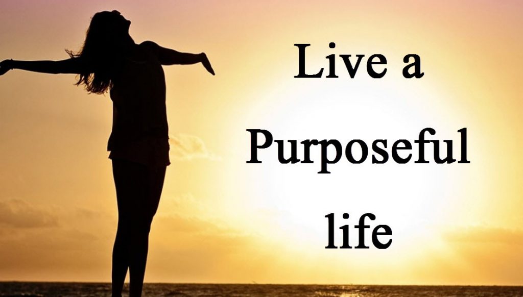 Discuss: What makes life purposeful for you?