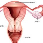 10 Expert tips on how to care for your fertility before marriage.