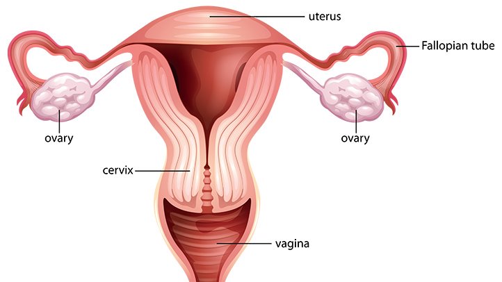 10 Expert tips on how to care for your fertility before marriage.