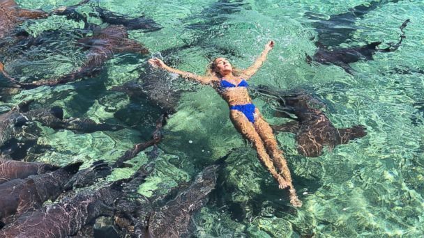 Instagram Model Swims with shark for fun and gets bitten