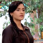 Iron Lady Zee World series: Read Full story, Plots and Synopsis here
