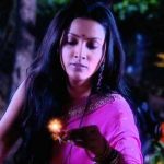 The Promise Zee World: Secret of the cottage, killers of the Walia twins revealed
