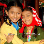 Silver Lining Zee World: Plot Summary, Full story, Casts, teasers