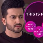 This is Fate Update Monday 25th February 2019