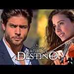 Road to Destiny fox life full story, plot summary, casts, teasers