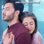 A magical love story Update Sunday 10 October 2021