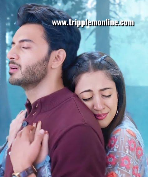 A magical love story Update Sunday 10 October 2021