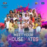 Where to Watch Big Brother 2026 in Nigeria (Big Brother Mzansi)